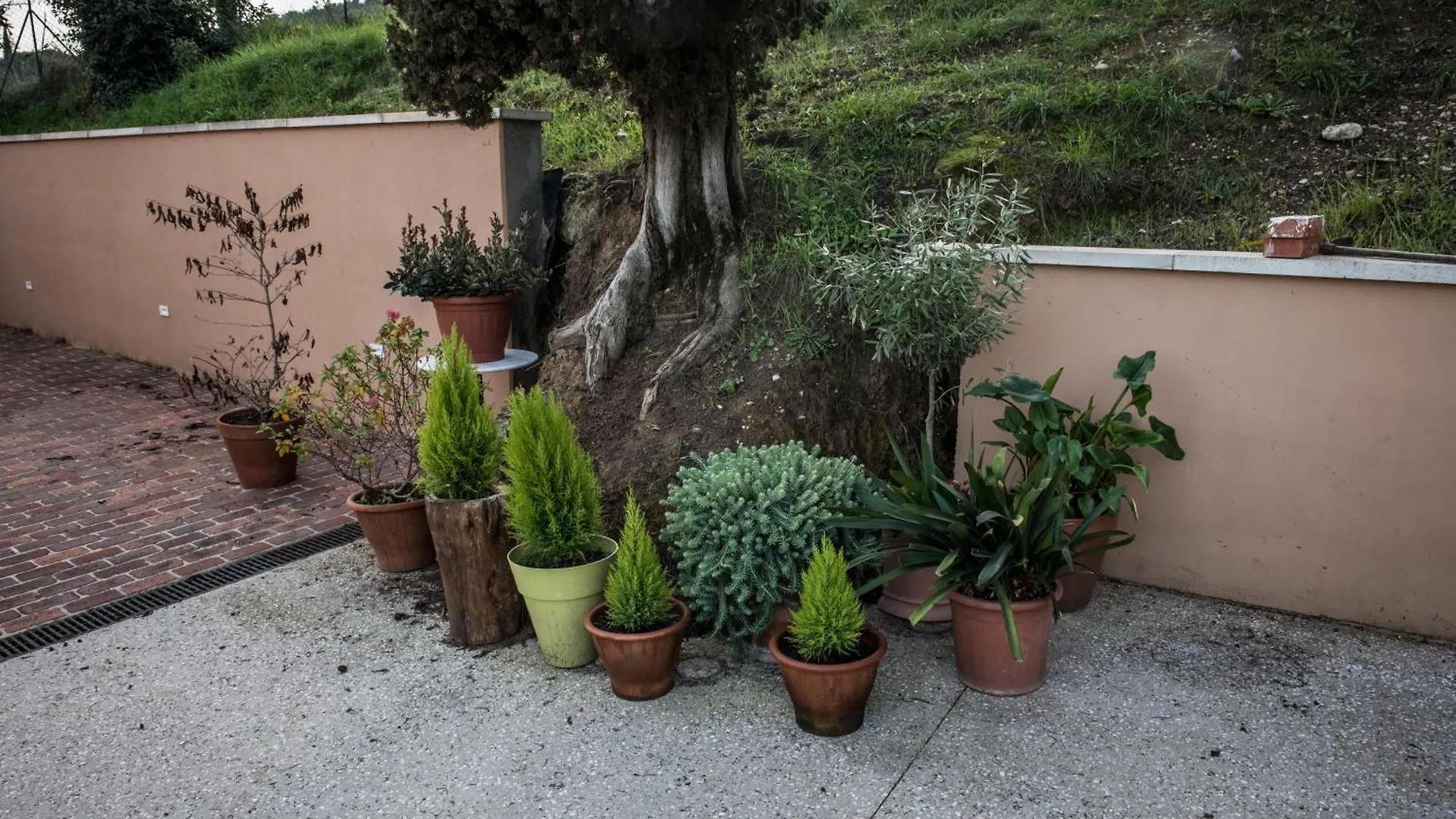 Farm stay Agriturismo Terre Di Anghiari